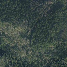 Satellite imagery of B, PL