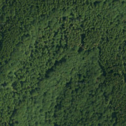Satellite imagery of survey_point, PL