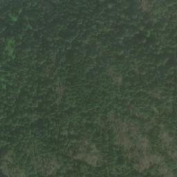 Satellite imagery of Lone Tree Point, CA