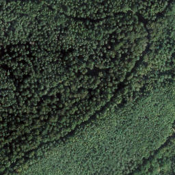 Satellite imagery of Schweinspieß, DE
