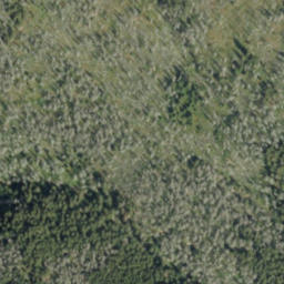 Satellite imagery of survey_point, PL