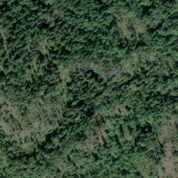 Satellite imagery of Bald Point, CA