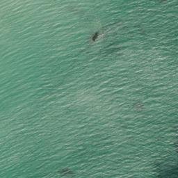 Satellite imagery of Point de Bût, JE
