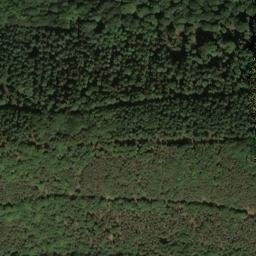 Satellite imagery of Hämmelberg, DE