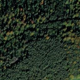 Satellite imagery of Mittelberg, DE