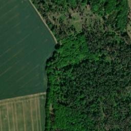 Satellite imagery of (Babický les), CZ