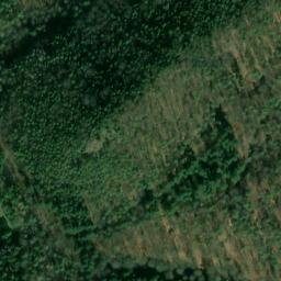 Satellite imagery of Hummelberg, DE