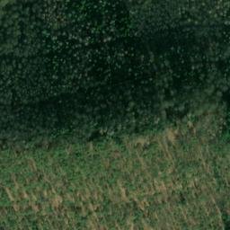 Satellite imagery of Maiblumenfels, DE