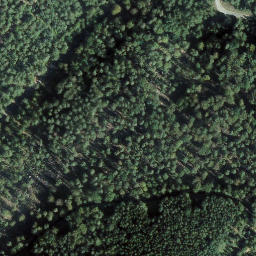 Satellite imagery of Vogtenkopf, DE