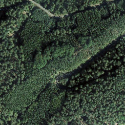Satellite imagery of Vogtenkopf, DE
