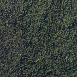 Satellite imagery of Kollmitz, DE