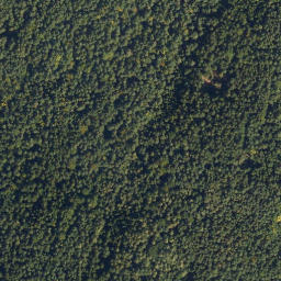 Satellite imagery of Kollmitz, DE