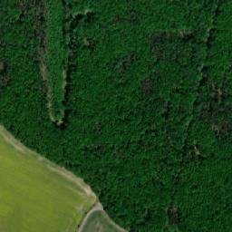 Satellite imagery of (Babický les), CZ