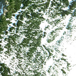 Satellite imagery of Mount Archibald, CA