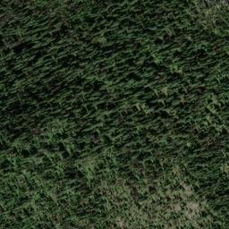 Satellite imagery of Mount Plewman, CA
