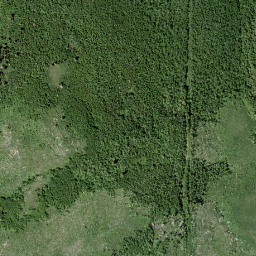 Satellite imagery of Indian Springs Ridge, CA