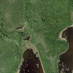Satellite imagery of Indian Springs Ridge, CA