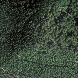 Satellite imagery of Vogtenkopf, DE