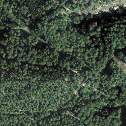 Satellite imagery of Vogtenkopf, DE