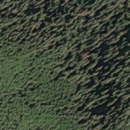 Satellite imagery of Mount Colnett, CA