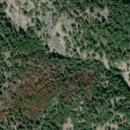 Satellite imagery of Mount Angus, CA