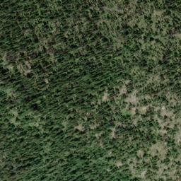 Satellite imagery of Mount Plewman, CA