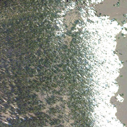 Satellite imagery of Avion Ridge, CA