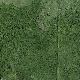 Satellite imagery of Indian Springs Ridge, CA