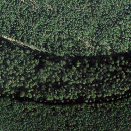 Satellite imagery of Vogtenkopf, DE