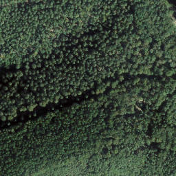 Satellite imagery of Vogtenkopf, DE