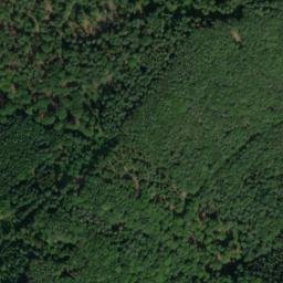 Satellite imagery of Wolfshorn, DE