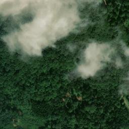 Satellite imagery of Buchberg, DE