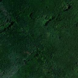 Satellite imagery of Bučina [Tetčice], CZ