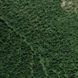 Satellite imagery of Mount Plewman, CA