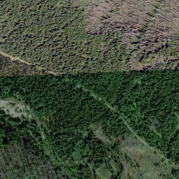 Satellite imagery of Font Mountain, CA