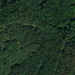 Satellite imagery of Wolfshorn, DE
