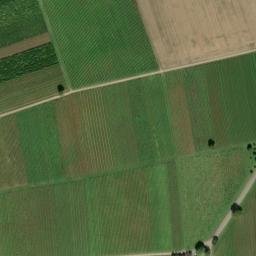 Satellite imagery of Rosenberg, DE
