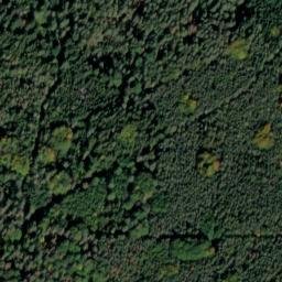 Satellite imagery of Büchelberg, DE