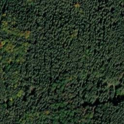 Satellite imagery of Büchelberg, DE