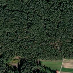 Satellite imagery of Büchelberg, DE