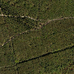 Satellite imagery of Rehgenick, DE