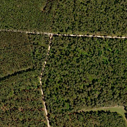 Satellite imagery of Rehgenick, DE