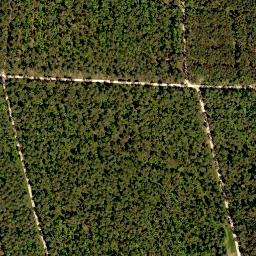 Satellite imagery of Rehgenick, DE