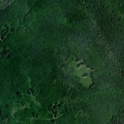 Satellite imagery of Bučina [Tetčice], CZ