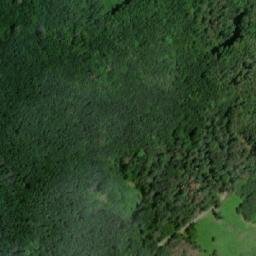 Satellite imagery of Bučina [Tetčice], CZ