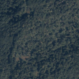 Satellite imagery of Historyczny trójstyk granic Polski (następnie Niemiec), Słowacji i Węgier, SK