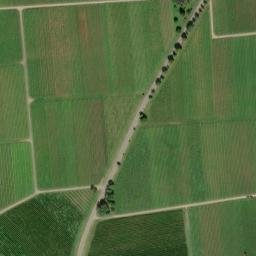 Satellite imagery of Rosenberg, DE