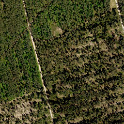 Satellite imagery of Rehgenick, DE