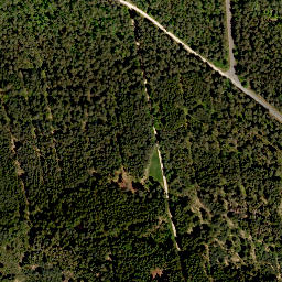 Satellite imagery of Rehgenick, DE