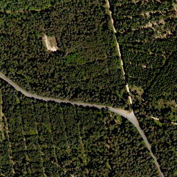 Satellite imagery of Rehgenick, DE